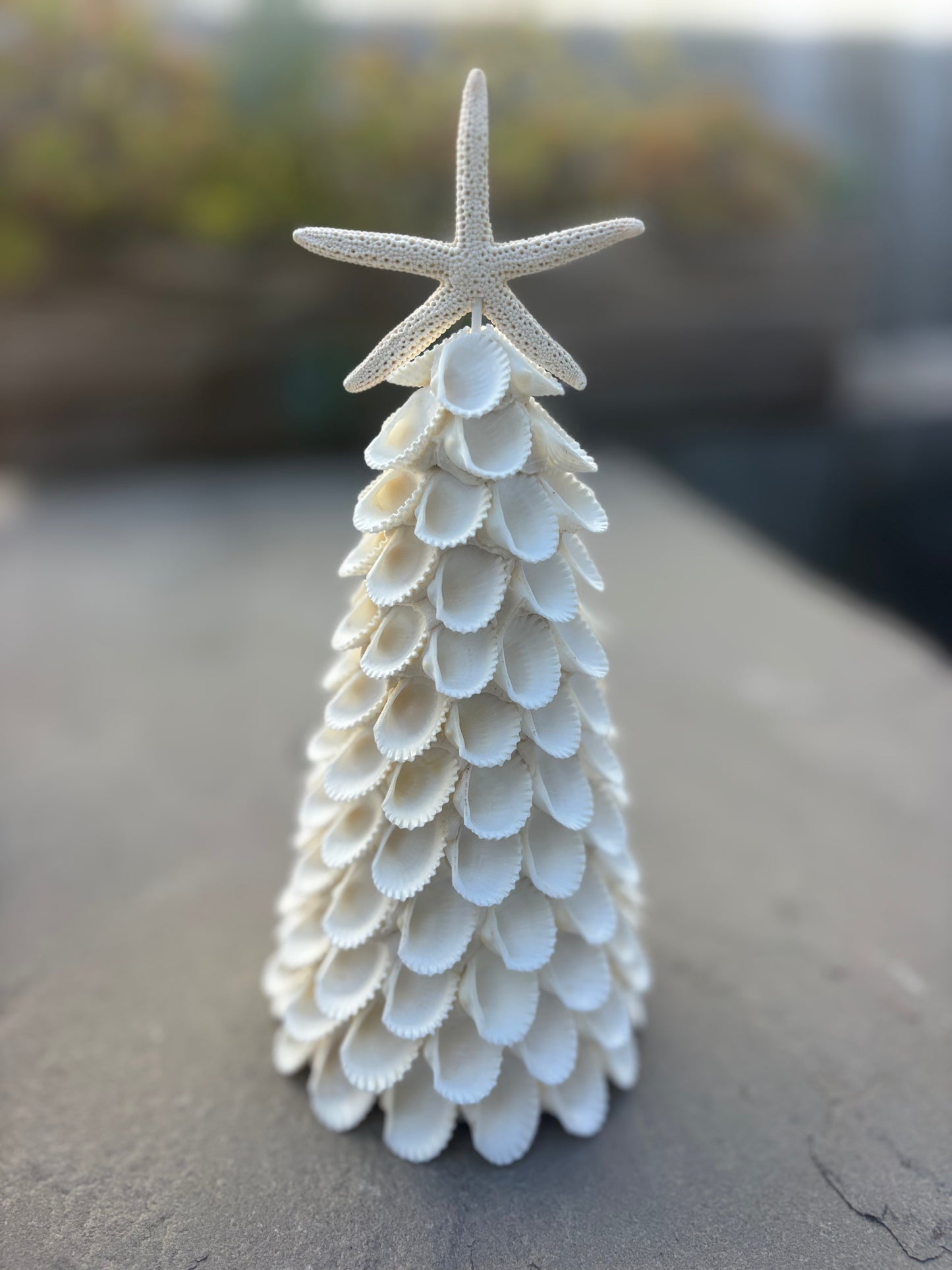 Workshop: Holiday Shell Tree Craft with Ellie Piper, Tue 12/2, 4:30pm-5:45pm