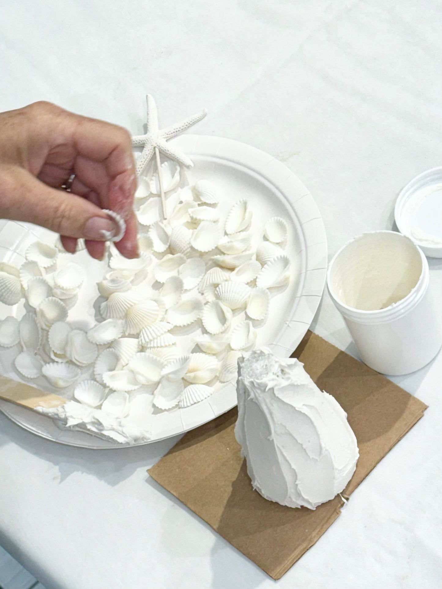 Workshop: Holiday Shell Tree Craft with Ellie Piper, Sun 11/16, 3:00pm-4:15pm
