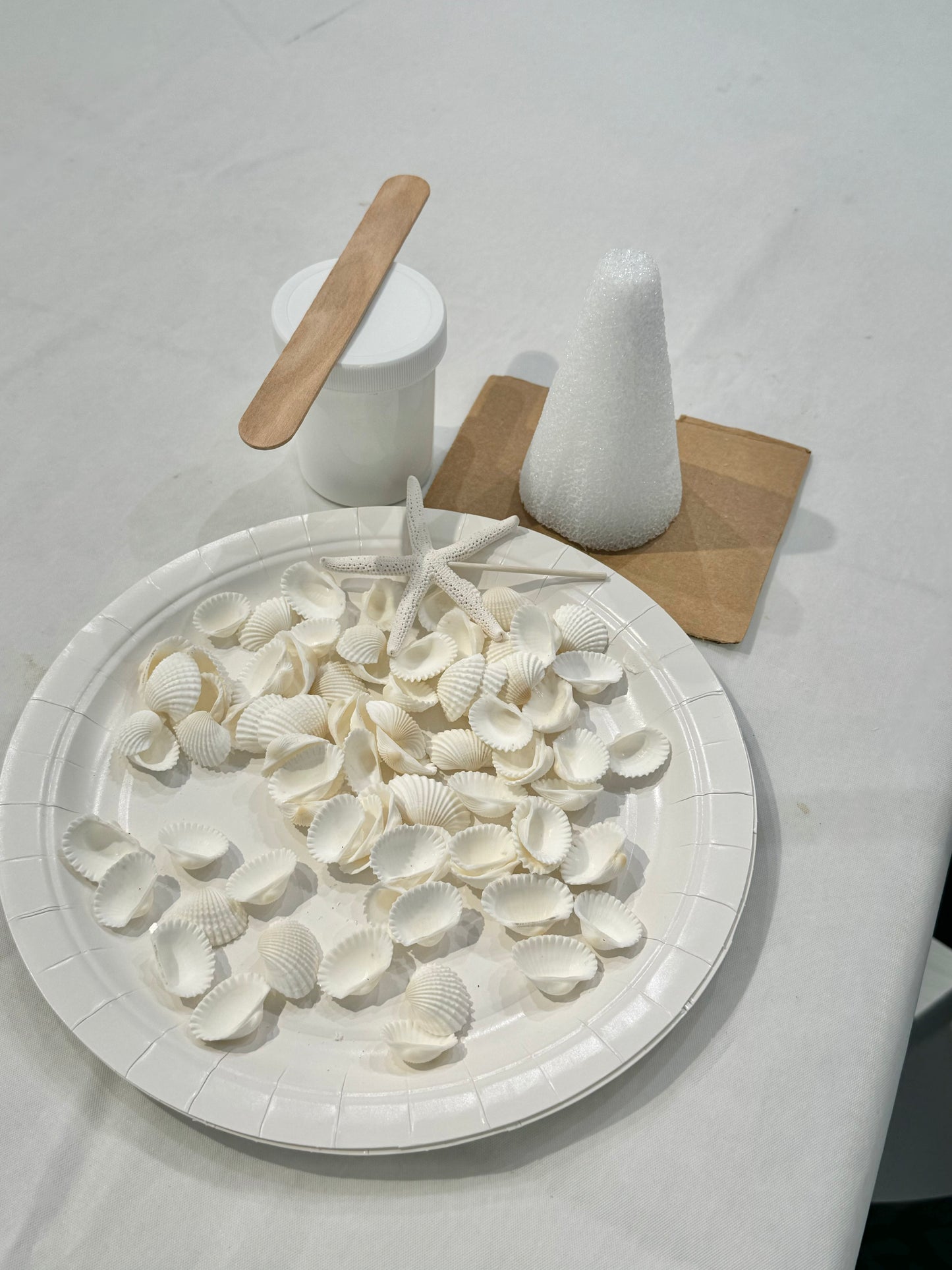 Workshop: Holiday Shell Tree Craft with Ellie Piper, Sun 11/16, 3:00pm-4:15pm