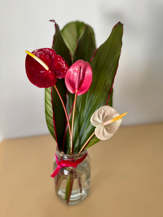 Island Love Anthurium Bouquet (3 flowers)