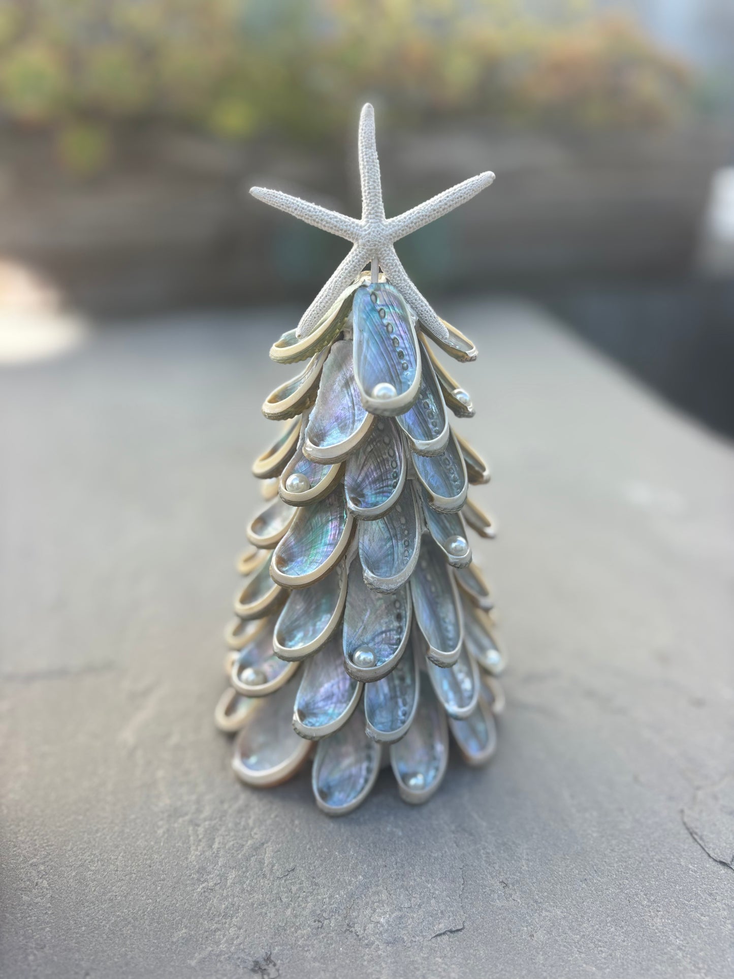 Workshop: Holiday Shell Tree Craft with Ellie Piper, Thu 11/6, 4:30pm-5:45pm