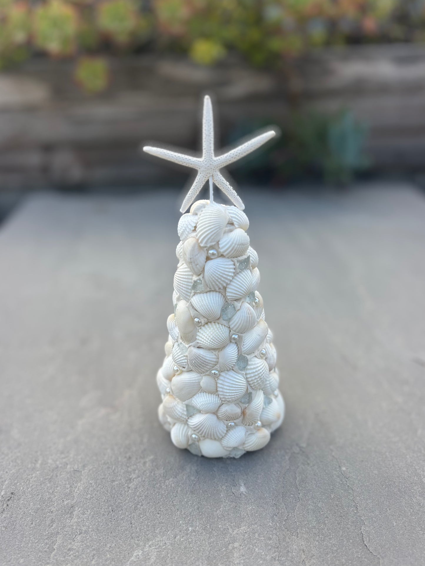 Workshop: Holiday Shell Tree Craft with Ellie Piper, Thu 11/6, 4:30pm-5:45pm